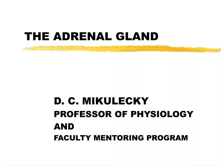 the adrenal gland n.