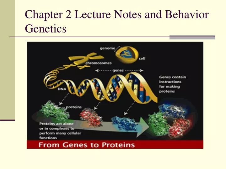 PPT - Chapter 2 Lecture Notes And Behavior Genetics PowerPoint ...