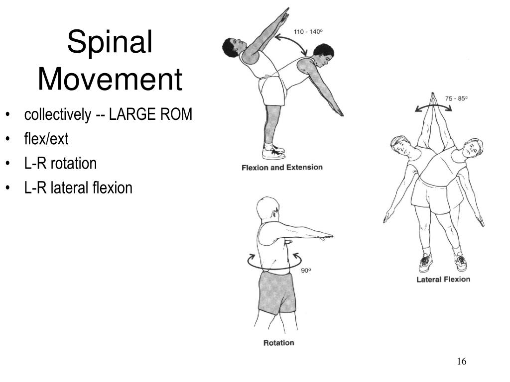 cervical range of motion norms cervical range of motion norms