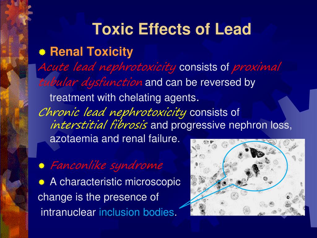 November toxic перевод. Lead poisoning ppt. Lead Toxicity тесты. Acute Toxicity.