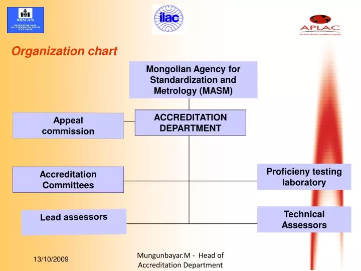 organization chart n.