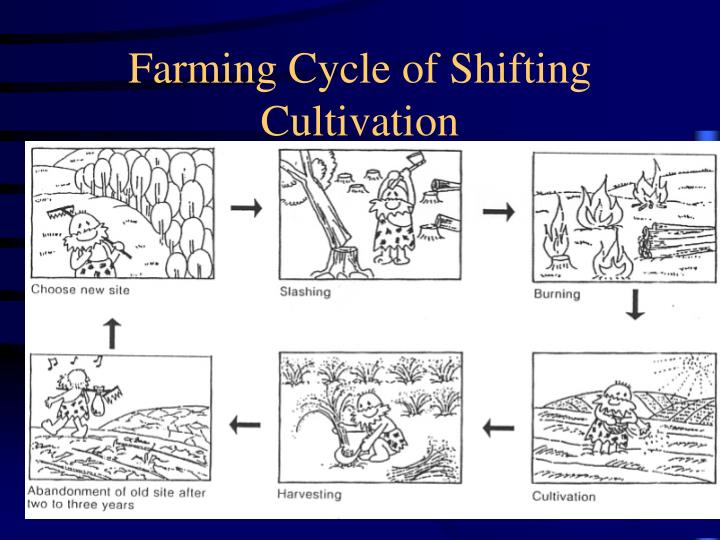 Ppt shifting cultivation powerpoint presentation id 1221852