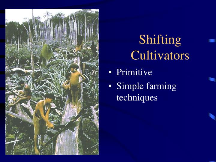 ppt-shifting-cultivation-powerpoint-presentation-id-1221852