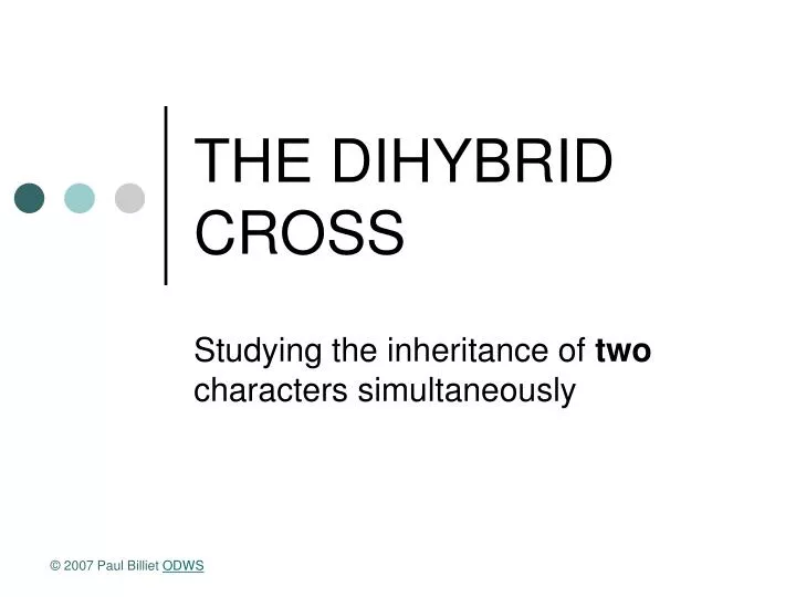 the dihybrid cross n.