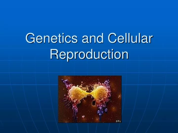 genetics and cellular reproduction n.