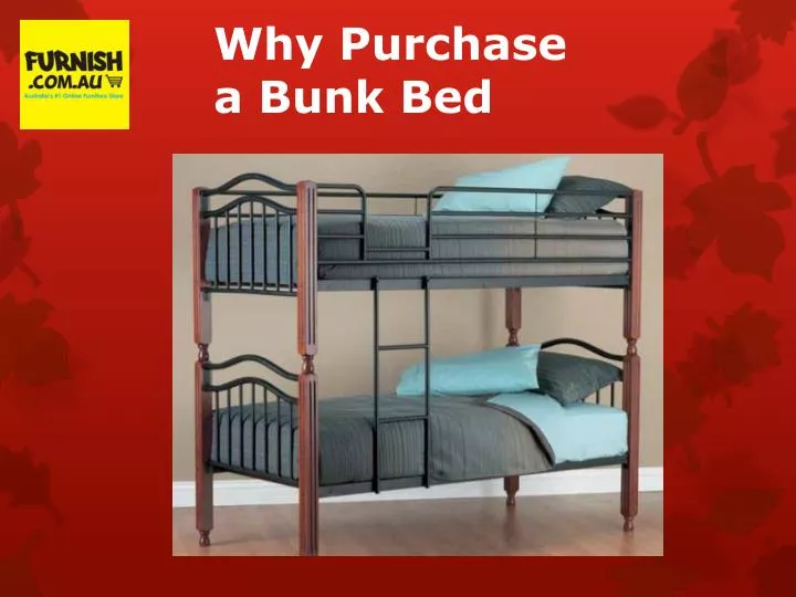 why purchase a bunk bed n.