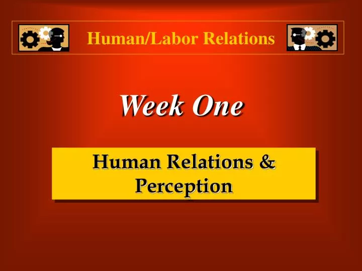 human labor relations n.