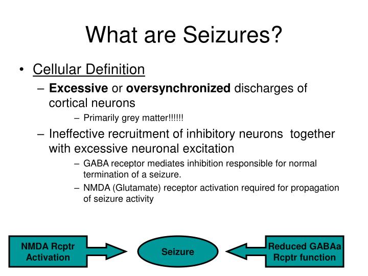 PPT Epilepsy and Seizures PowerPoint Presentation ID1224359