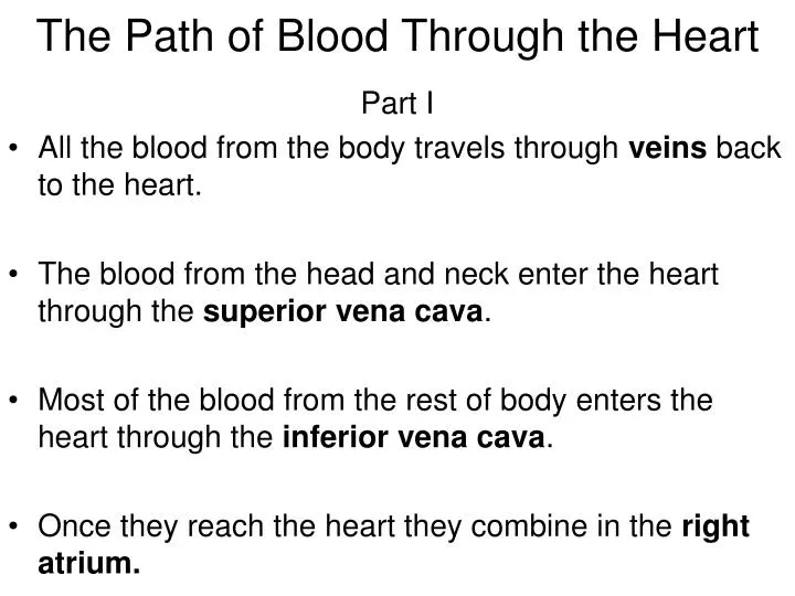 ppt-the-path-of-blood-through-the-heart-powerpoint-presentation-free-download-id-1224462