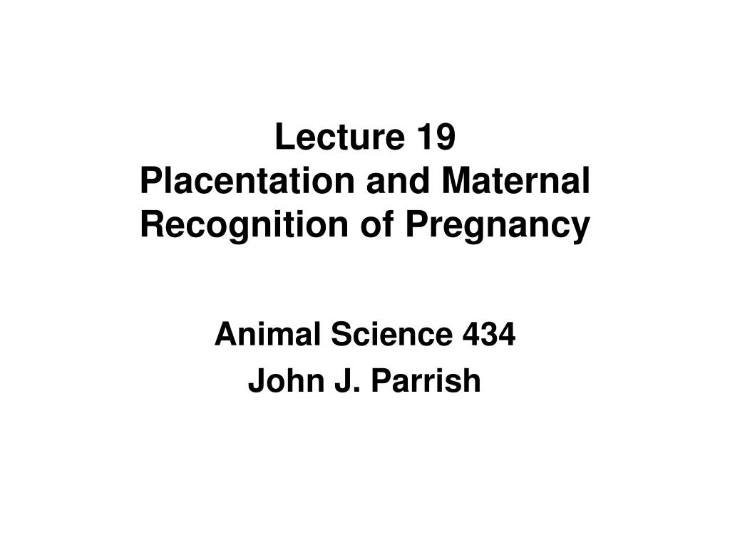 PPT - Lecture 19 Placentation and Maternal Recognition of Pregnancy  PowerPoint Presentation - ID:1224510