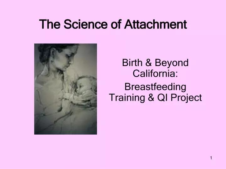 the science of attachment n.
