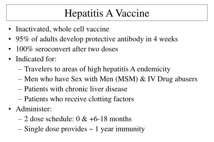 hepatitis a vaccine hepatitis a vaccine