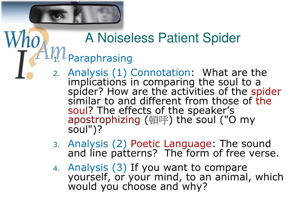 a noiseless patient spider meaning