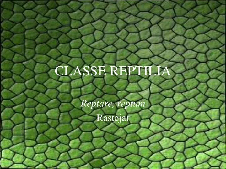 classe reptilia n.