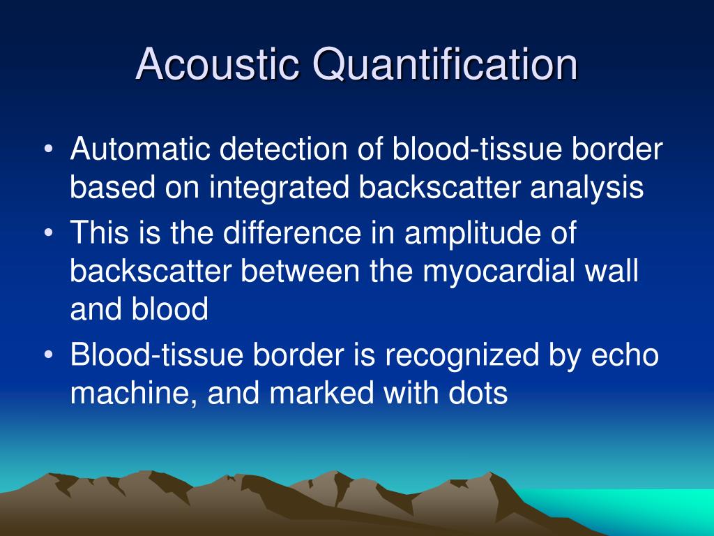 wb quantification wb quantification