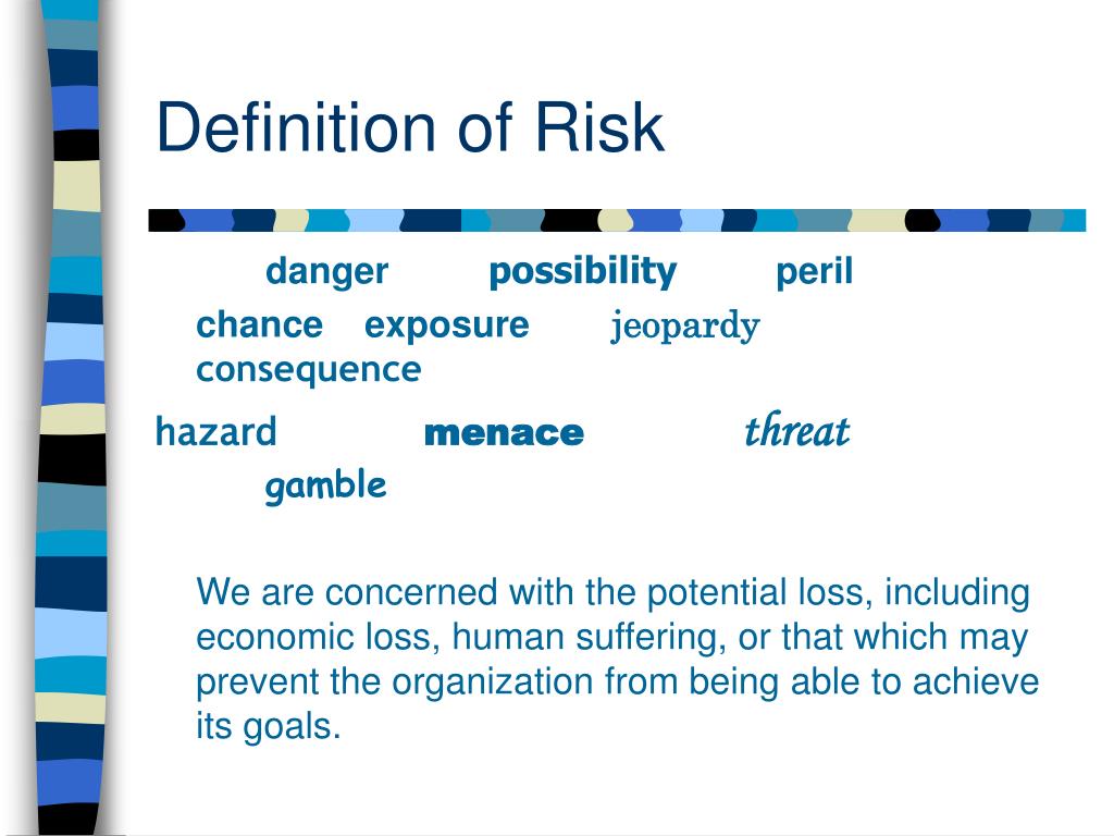risk management definition essay