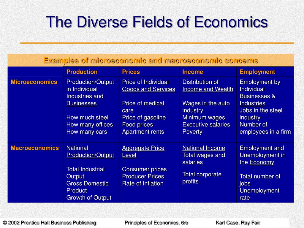 economics phd fields