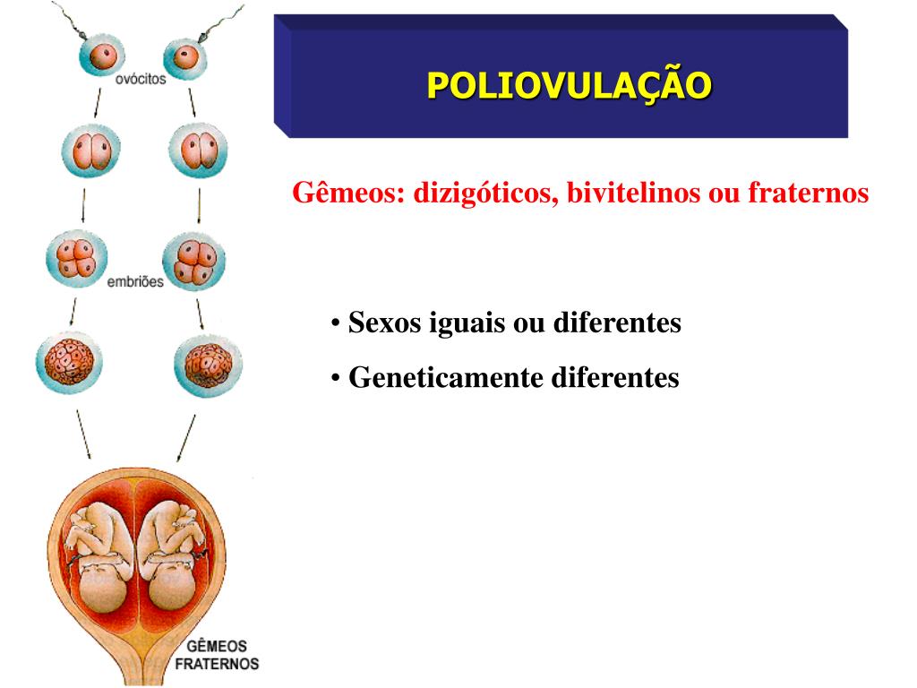 Ppt ReproduÇÃo Casos Especiais Powerpoint Presentation Free Download Id1230125 