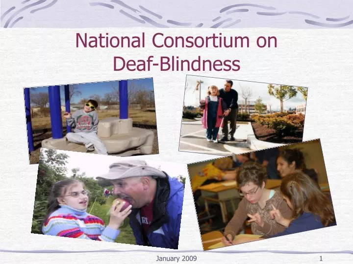 national consortium on deaf blindness n.