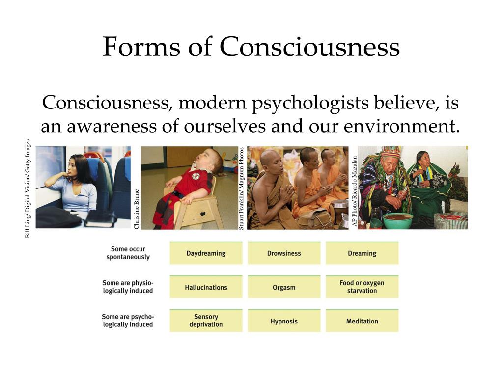 consciousness-slides