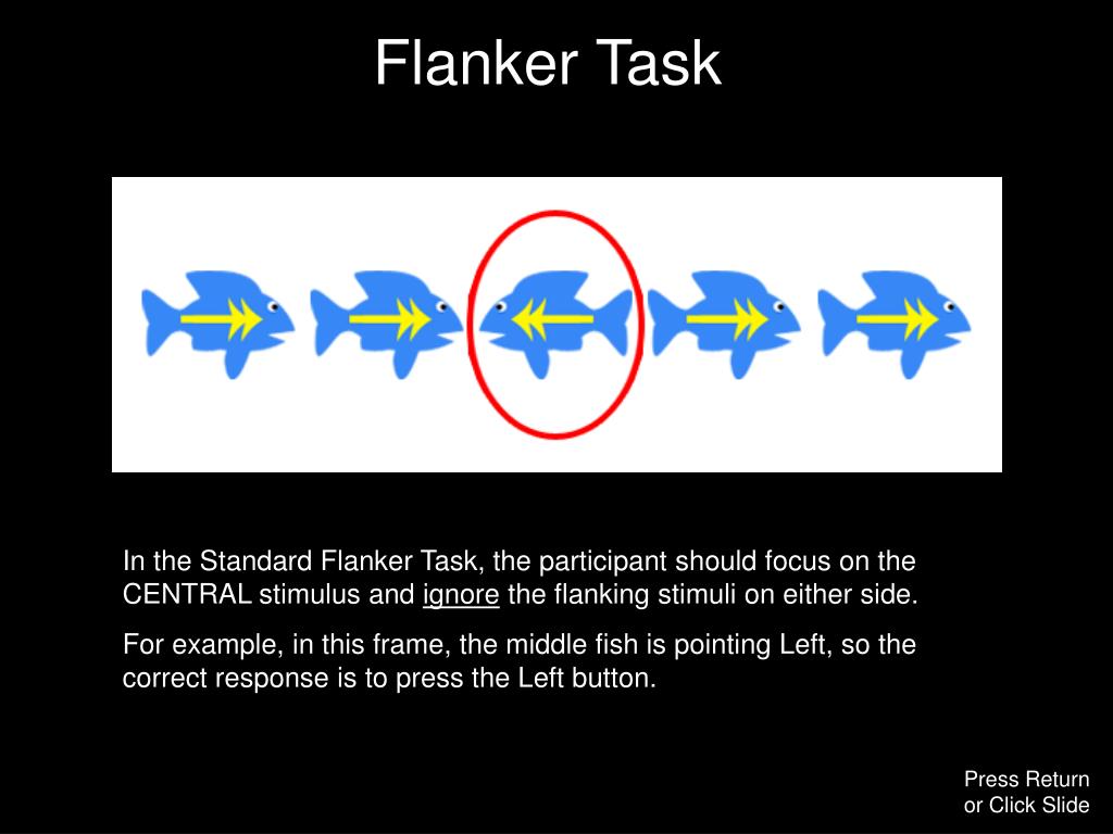 Examples of test stimuli with flanking features.