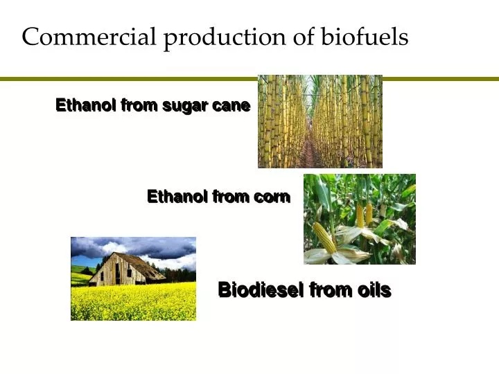 commercial production of biofuels n.