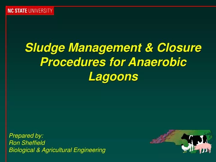 sludge management closure procedures for anaerobic lagoons n.