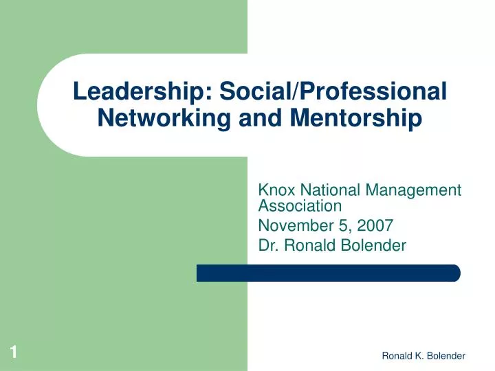 leadership social professional networking and mentorship n.