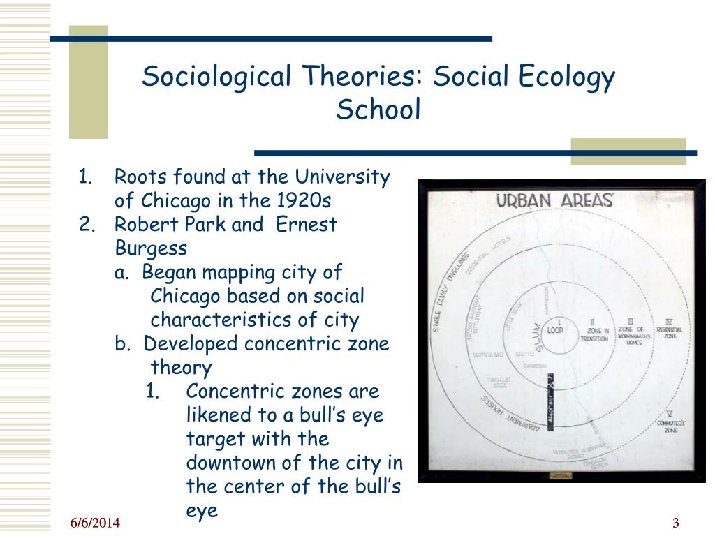 Chicago School Of Social Ecology Theory