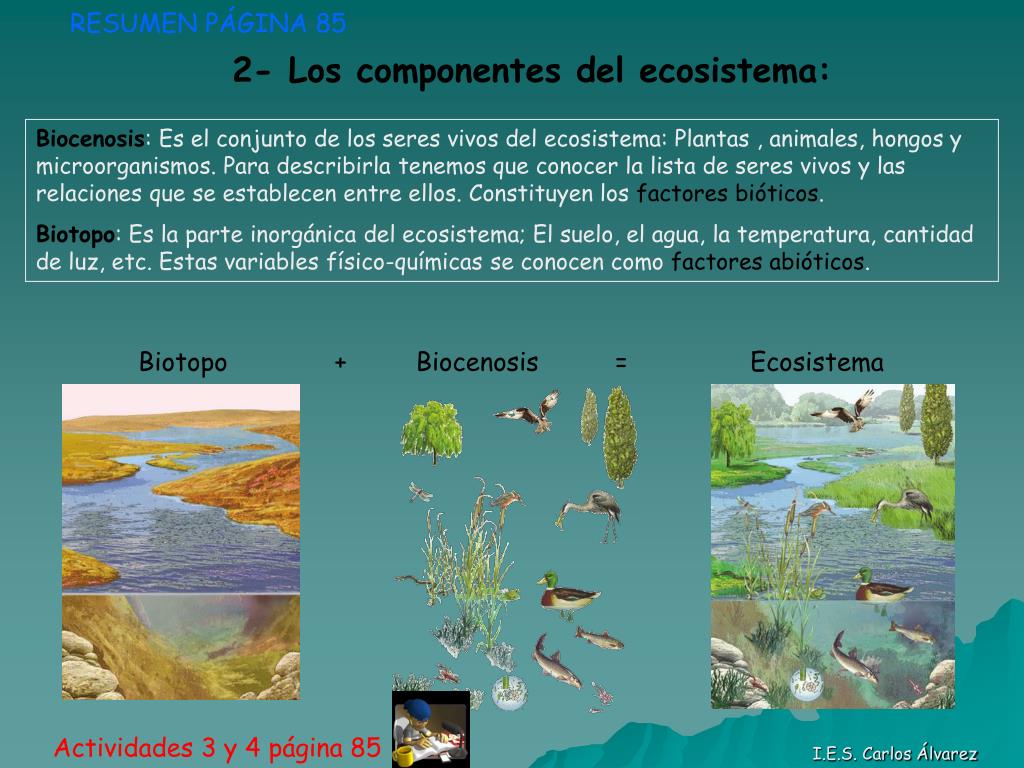 Ppt Tema 5 La Estructura De Los Ecosistemas Powerpoint Presentation