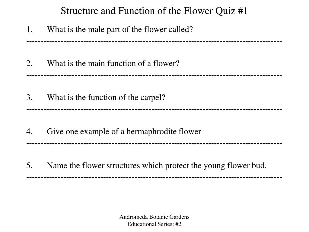 Structure And Function Of The Flower
