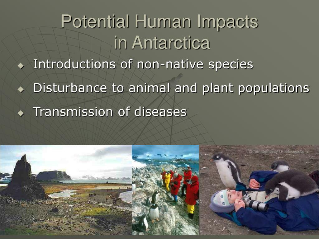 positive impacts of tourism in antarctica
