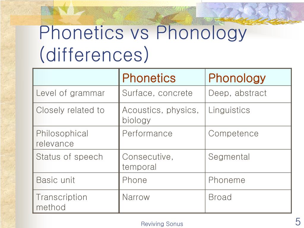 PPT Phonology The Sound Pattern Of Language PowerPoint Presentation 