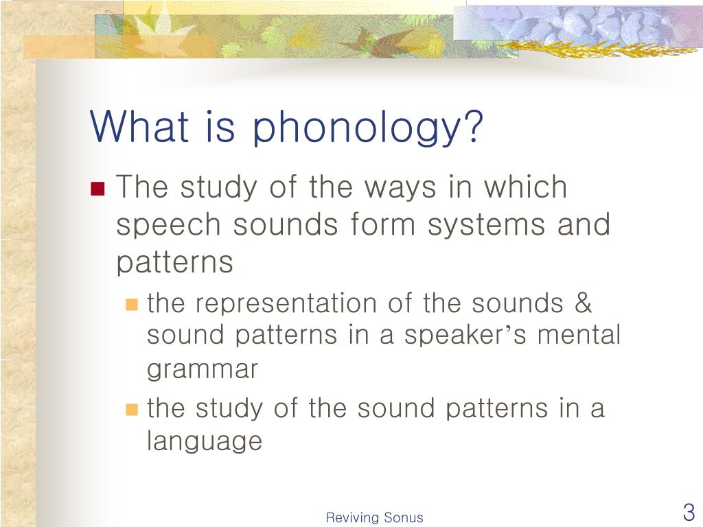 meaning of speech sound system