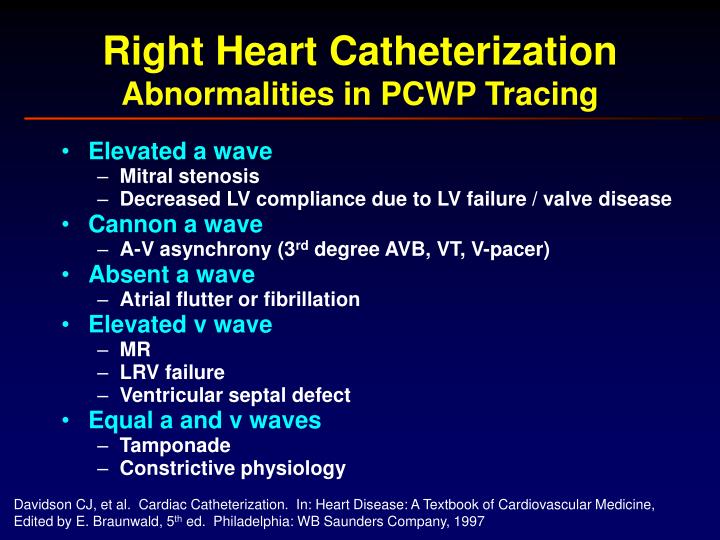 PPT - Hemodynamic Principles The Fundamentals PowerPoint Presentation ...