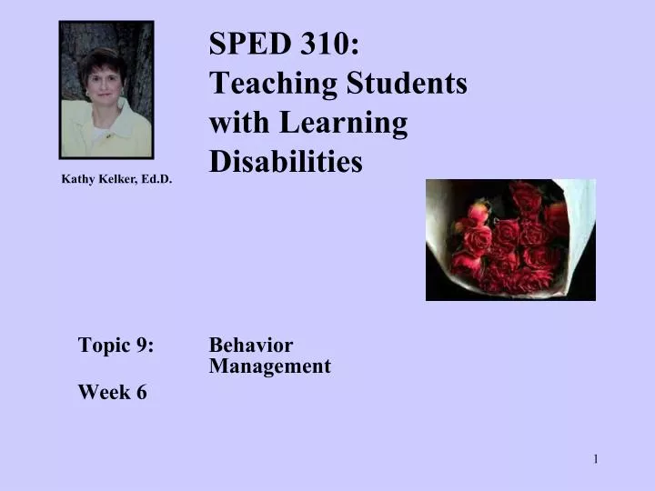 sped 310 teaching students with learning disabilities n.