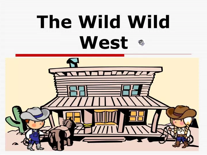 the wild wild west n.