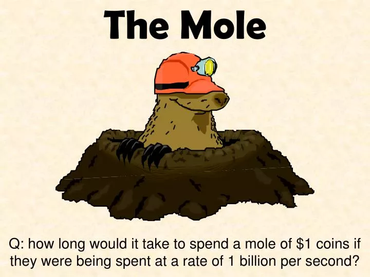 the mole n.