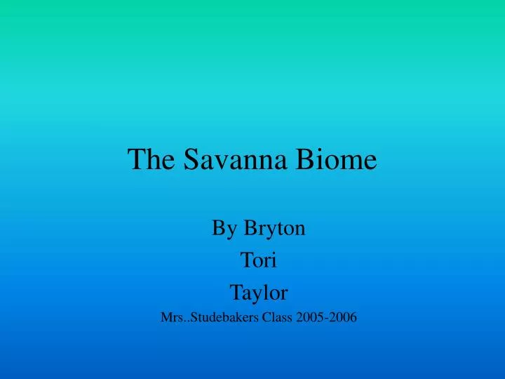 the savanna biome n.