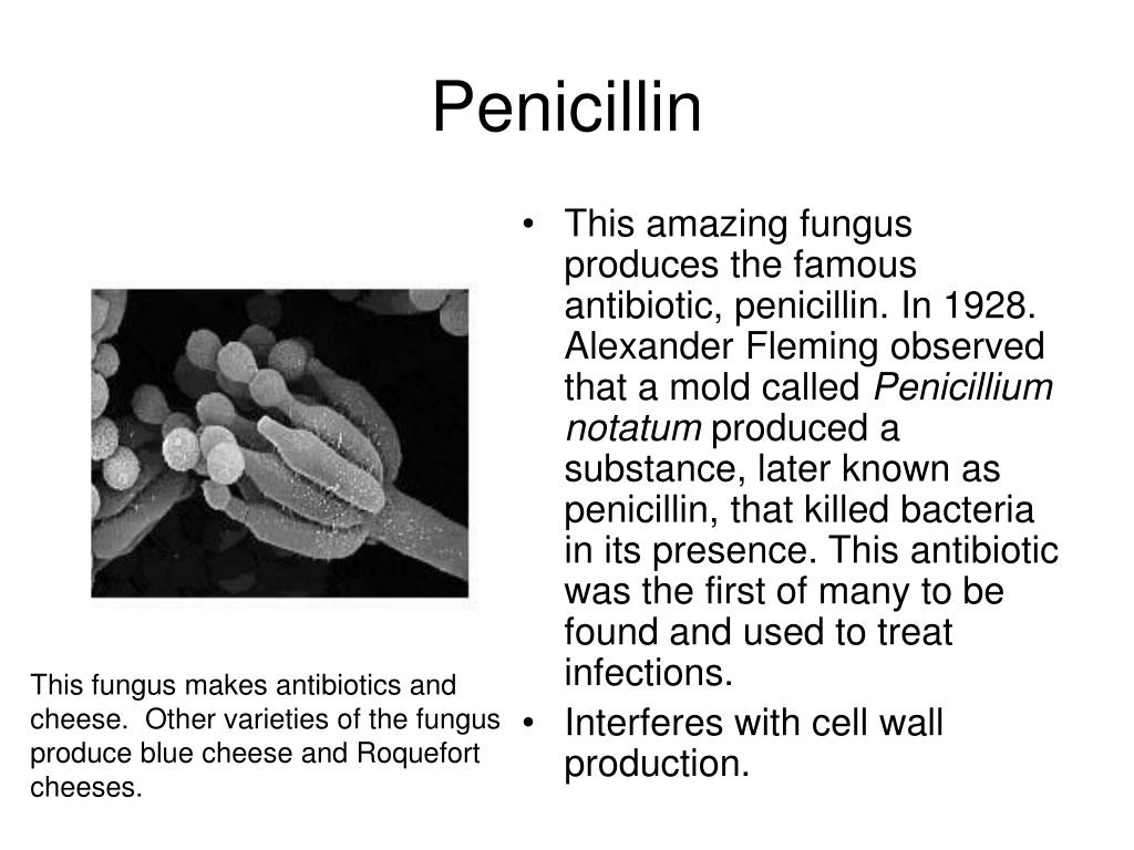Пенициллин тест