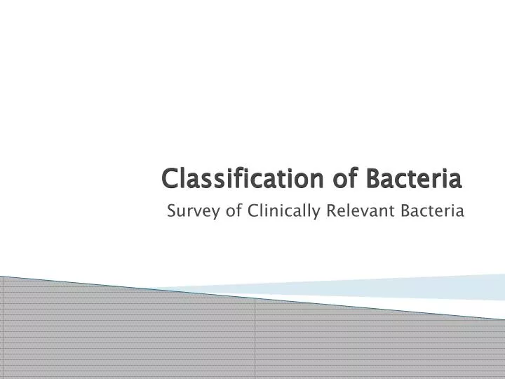 classification of bacteria n.