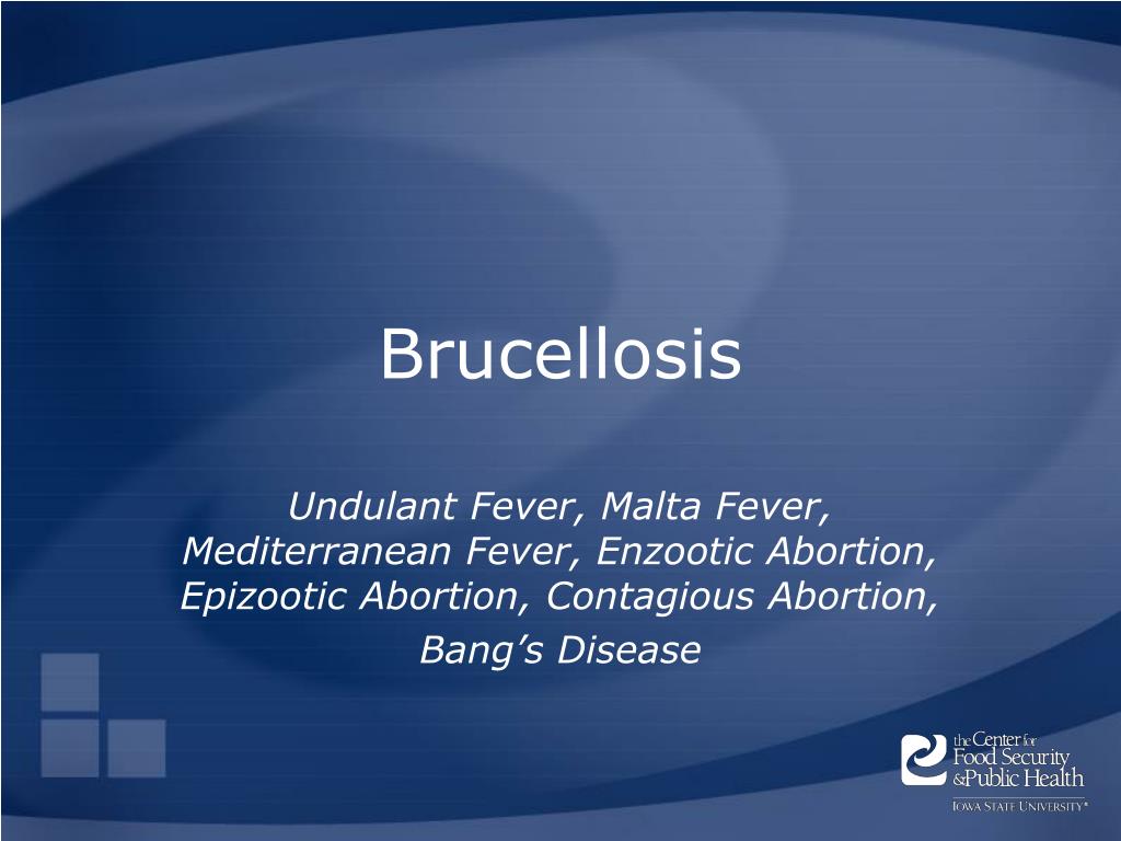 PPT - Brucellosis PowerPoint Presentation, free download - ID:3302031