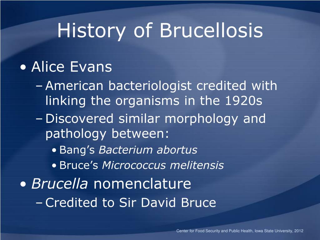 history of brucellosis5 l
