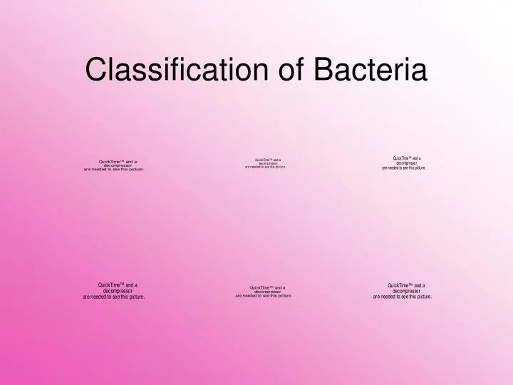 Ppt Classification Of Bacteria Powerpoint Presentation Free Download