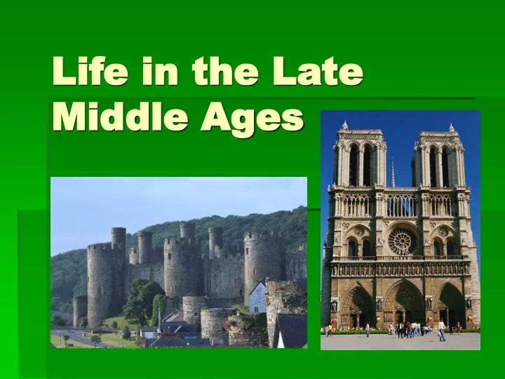 life in the late middle ages n.