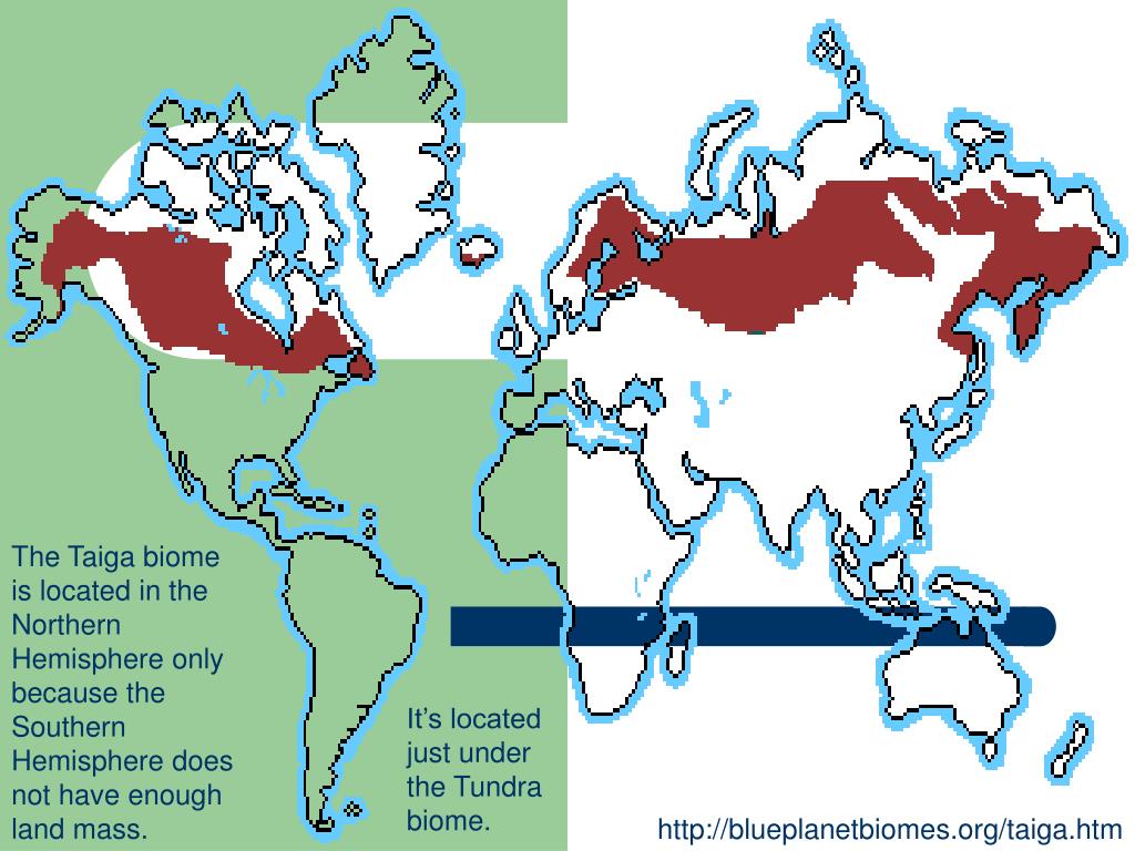 Map Of Taiga Biomes