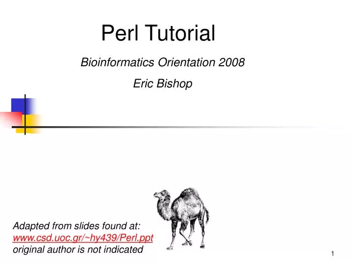 perl scripting tutorial pdf basics of investing