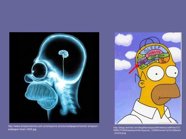 PPT Neurofeedback PowerPoint Presentation ID1253229