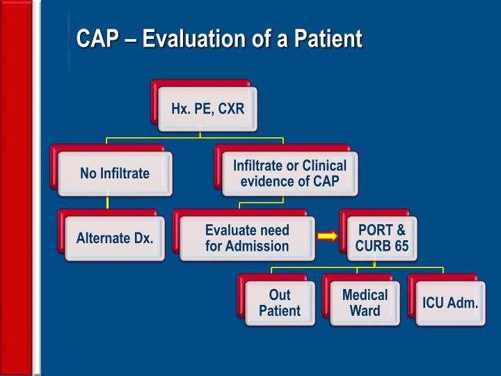 PPT - Community Acquired Pneumonia (CAP) by PowerPoint Presentation ...