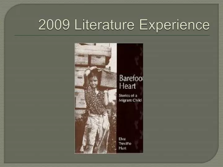 2009 literature experience n.